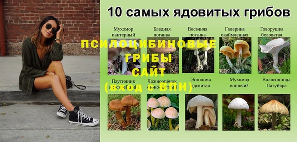 прущая мука Сатка