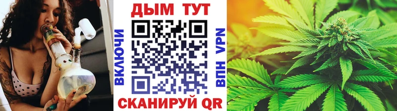 Бошки марихуана THC 21%  Берёзовка 